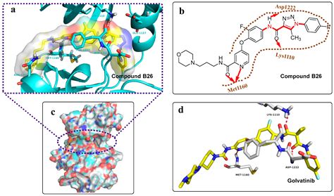 Molecules Free Full Text Design Synthesis And Biological