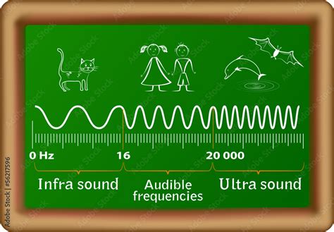 The sound waves vector diagram Stock Vector | Adobe Stock