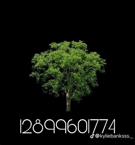 There Is A Tree That Has Been Placed In Front Of The Black Background