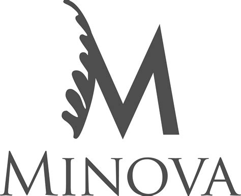 Home - Minova Group