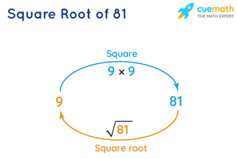 8 Squared Unlocking The Power Of 64 In Mathematics And Beyond