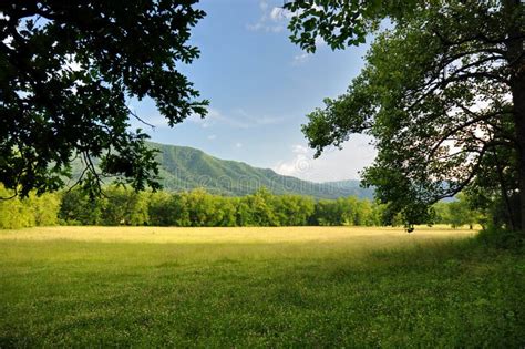 Cades Cove Great Smoky Mountains National Park Spring Scenic Landscape