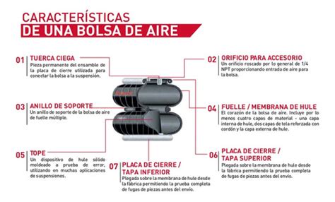 Bolsa De Aire Codigo Contitech Marca Gabriel Meses Sin Intereses