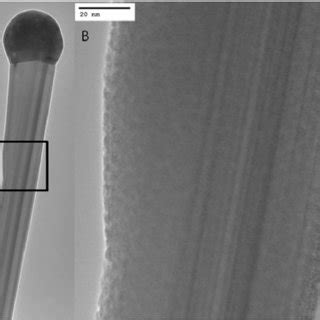 XRD Patterns Of Sintered Mg 2 Si A Undoped B Pb And Bi Doped C