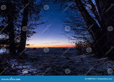 Wood At Night Stock Photo Image Of Misterious Woods 49887254