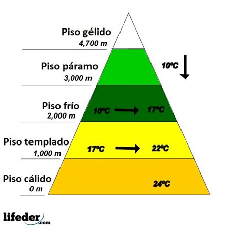 Pisos térmicos características y cómo cambian con la altitud