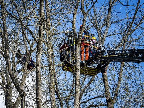 Chute du zadiste de son arbre et manif à Lausanne on fait le point