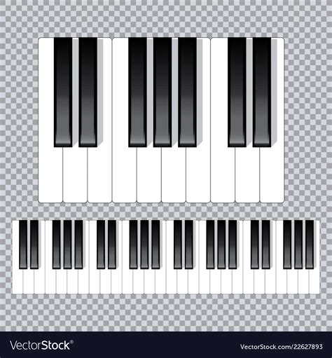 Piano keyboard diagram - layout Royalty Free Vector Image