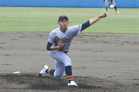 ⚾加藤学園 初の決勝進出 至学館下す 春季高校野球東海大会｜あなたの静岡新聞