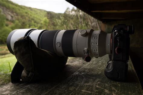 Sony 200-600mm Lens Review: Wildlife Photography Field Test | Nature TTL