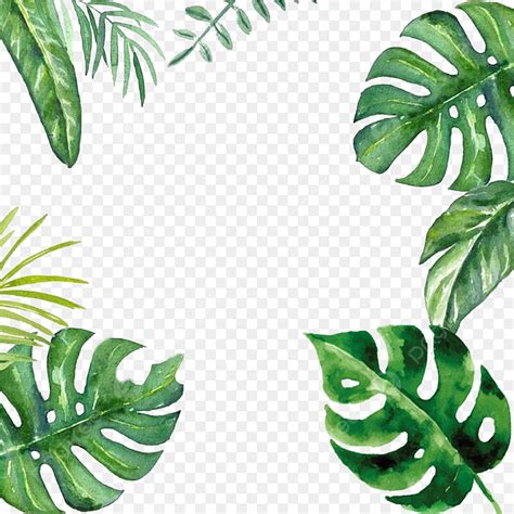 Green Palm Leaf Png Image Creative Green Leaf Palm Border Design