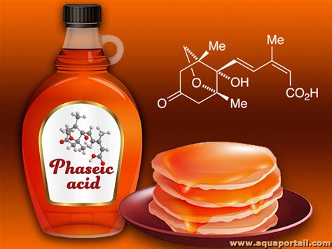 Acide Phas Ique D Finition Et Explications