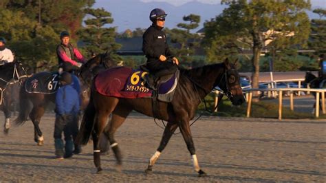 【ジャパンカップ】“世界最強馬決定戦”イクイノックスvsリバティアイランド 2021年コントレイルで「勝利の涙」福永祐一調教師が斬る2頭の強さ