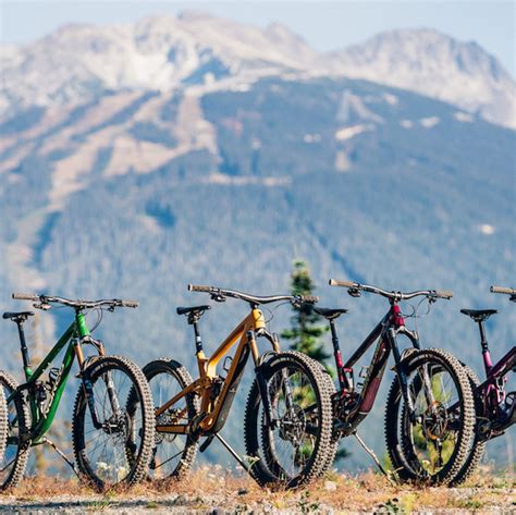 type  mountain bike   buy