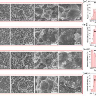 SEM Micrographs Of The Hot Pressed And Hot Extruded Composites Obtained