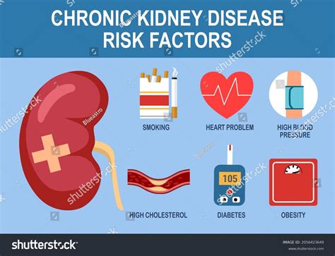 Chronic Kidney Disease Risk Factors Infographic Stock Vector (Royalty Free) 2056423649 ...