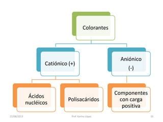 Microscopía y morfología celular PPT Descarga Gratuita