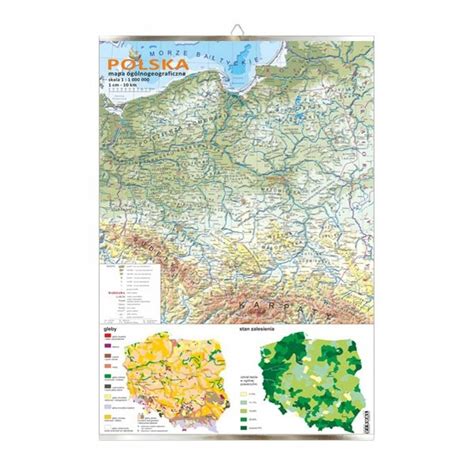 Polska Mapa V Og Lnogeograficzna Gleb I Zalesienia Visual System