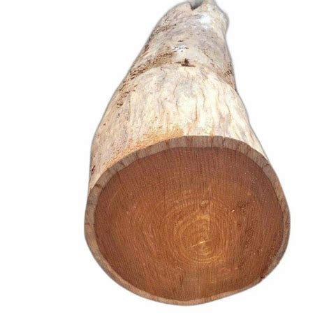 30inch Timber Wood Logs At Rs 750 Cubic Feet Logs Of Wood In Sitapur