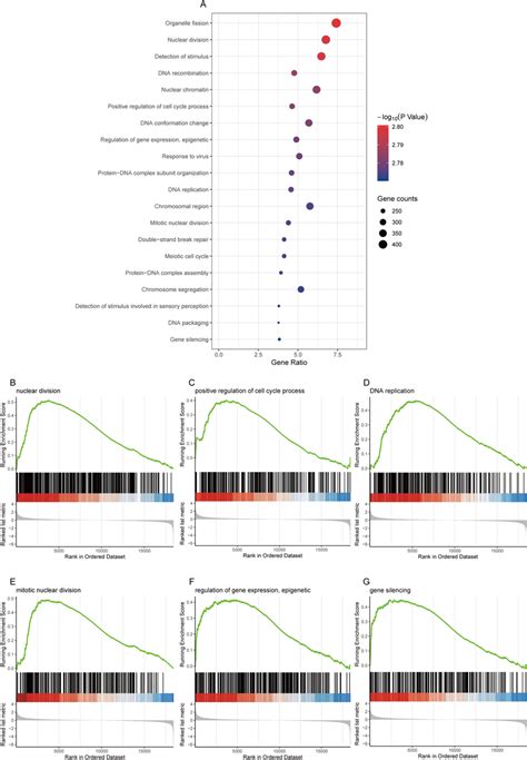 Functional Enrichment Of Greb L In Luad A Gsea Function Enrichment