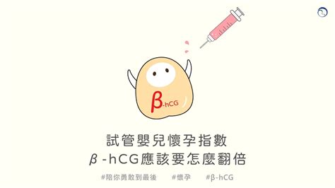 β hCG是什麼試管嬰兒懷孕指數 β hCG應該要怎麼翻倍 YouTube