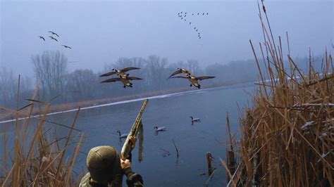 Late Season Goose Hunting On Public Land Limit 3 Geese 1 Shot Youtube