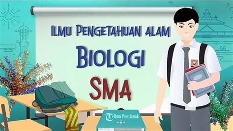 Inilah Kunci Jawaban Biologi Kelas Sma Smk Kurikulum Merdeka Untuk