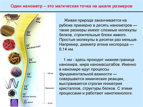 Что такое НАНО? - презентация онлайн