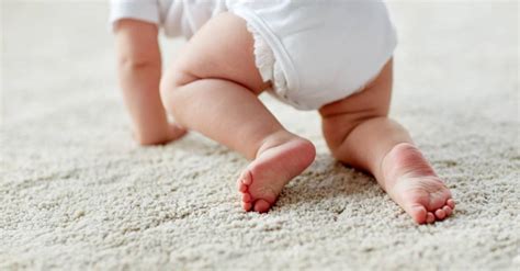 Engatinhar Bebe - Engatinhar do bebê: quando começa, como estimular e cuidados essenciais ...