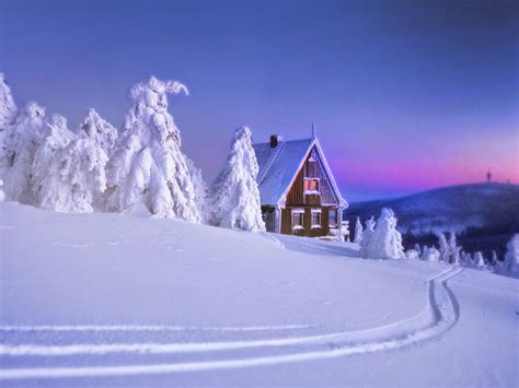 Coolest Cabins: 5 Christmas Cabins