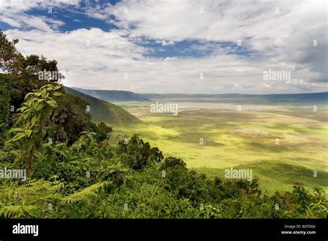 Ngorongoro Hi Res Stock Photography And Images Alamy