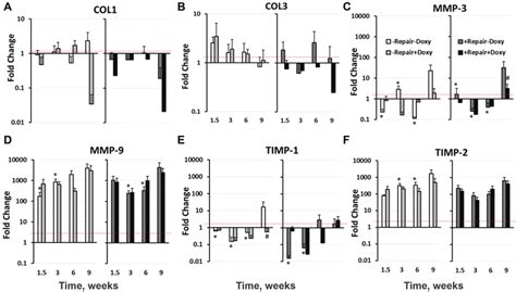 Relative Fold Change Of Gene Expression Measured By Quantitative