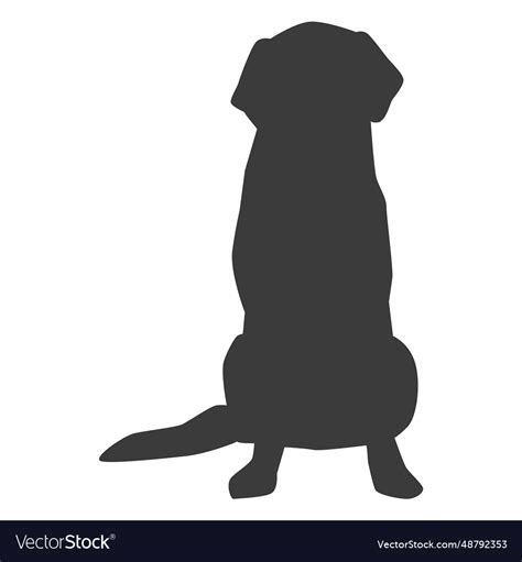 Dog puppy ear tail silhouette Royalty Free Vector Image