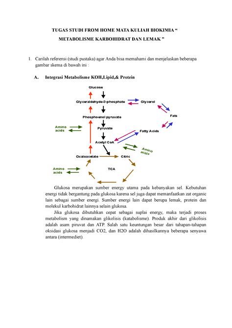 Biokimia Tugas Metabolisme Karbohidrat Dan Lemak Tugas Studi From