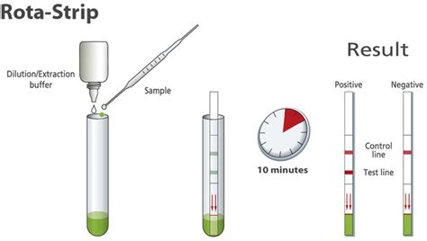 Rota strip Coris | International Medical Products