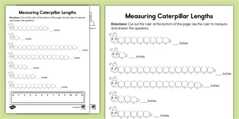 Second Grade Measuring Caterpillar Lengths Activity Twinkl