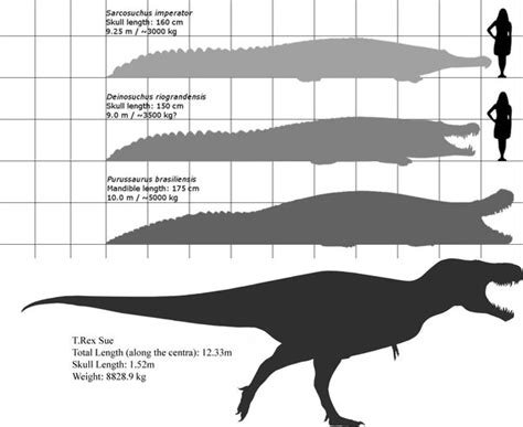 Deinosuchus Vs T Rex