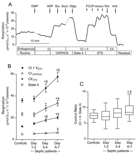 Mitochondrial Respiration Of Permeabilized Platelets A Representative