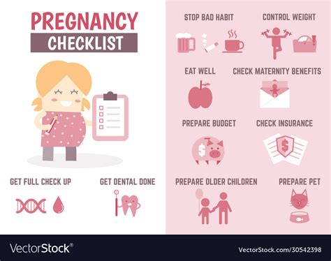 Healthcare Infographic About Pregnancy Checklist Vector Image