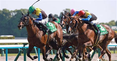 2024 6 1（土）競馬予想結果｜jra・競馬予想