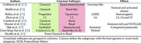 Molecular Subtypes Corresponding To Pdac Classification Download Scientific Diagram