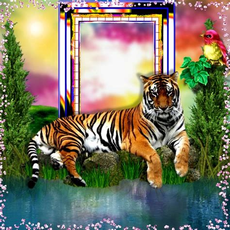 It Smichelle S Wildlife Frames April April Wildlife