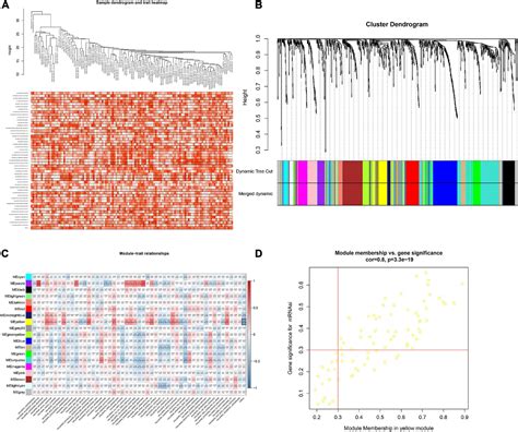 Frontiers Identification Of Stemness Related Genes For Cervical