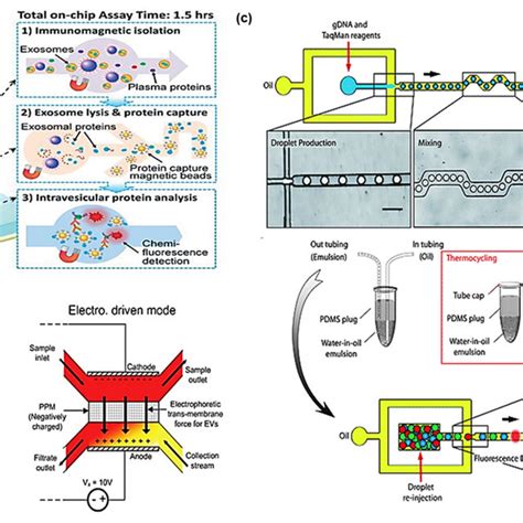 Microfluidic Devices For Exosome And Cell Free Dna Research A