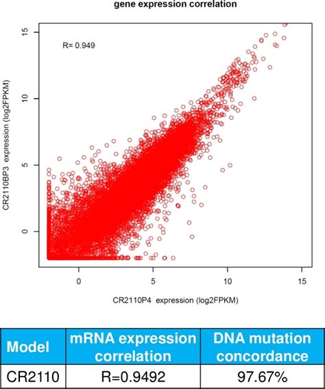 Creating Matched In Vivoin Vitro Patient Derived Model Pairs Of Pdx