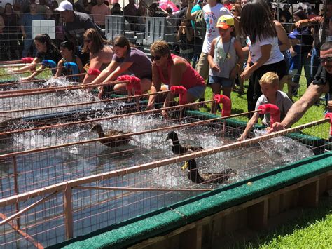 9 Facts About Great American Duck Race