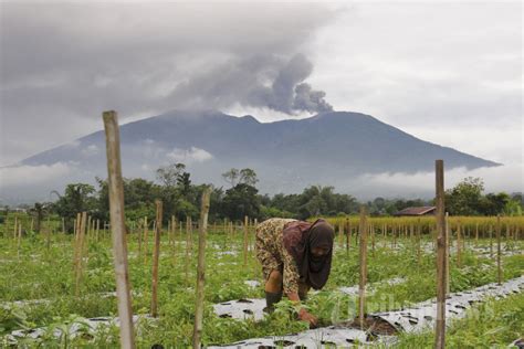 Erupsi Gunung Marapi 11 Pendaki Meninggal Dunia Foto 12 1985320