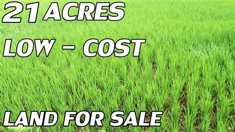 21 ACRES AGRICULTURAL LAND FOR SALE LOW COST PROPERTY SALE RICE