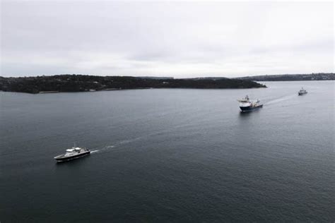 Austal Birdon Secure Australian Landing Craft Contract Naval News