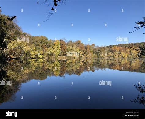 Radnor Lake State Park fall trees mirrored on the water Stock Photo - Alamy